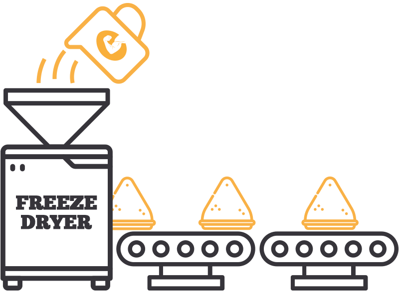 Freeze drying MuscleEgg Powder